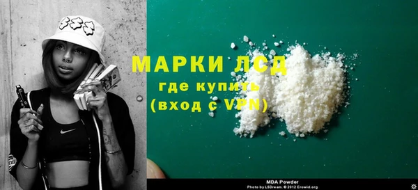 прущие грибы Абинск
