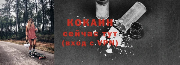 прущие грибы Абинск