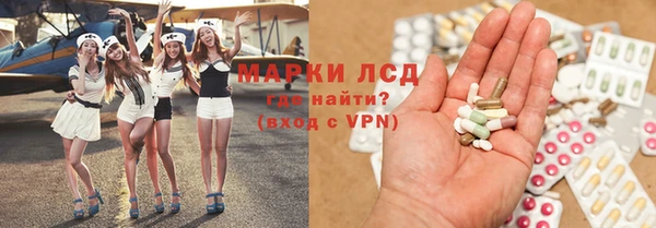 прущие грибы Абинск