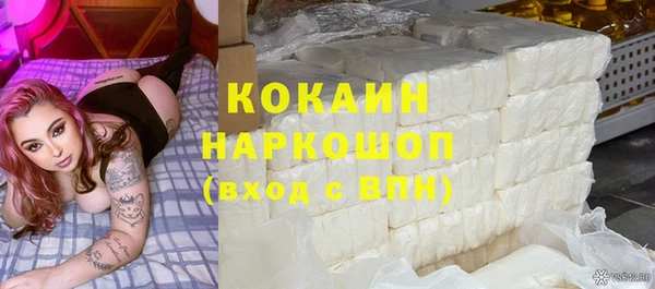 прущие грибы Абинск