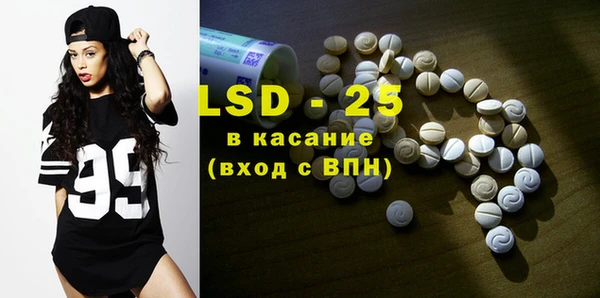 индика Алзамай